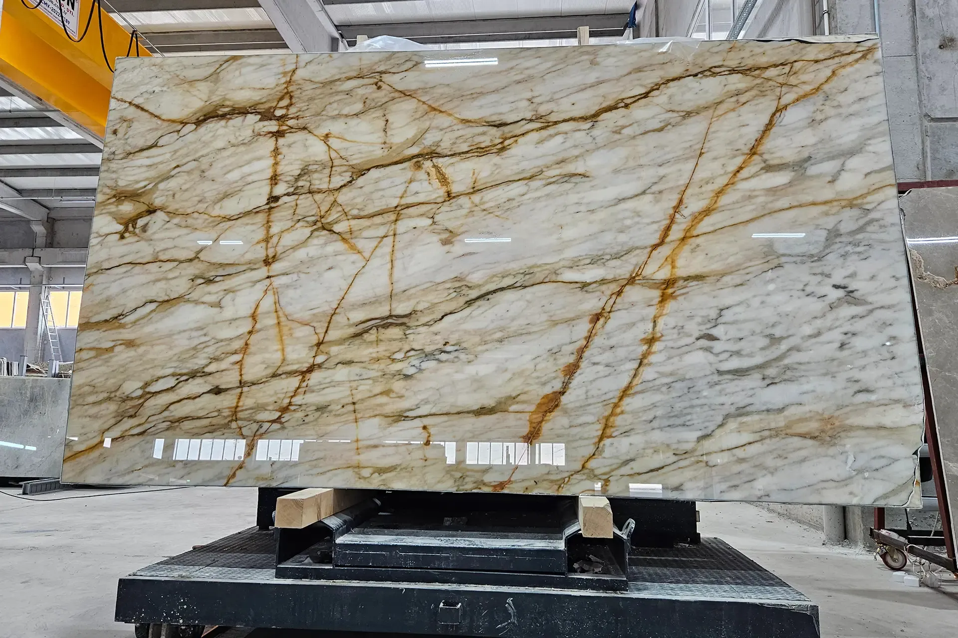 GOLDEN VENATO